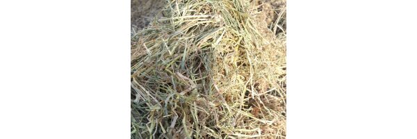 Top Hay Wiesenheu - 2 fach entstaubt - für Allergiker geeignet